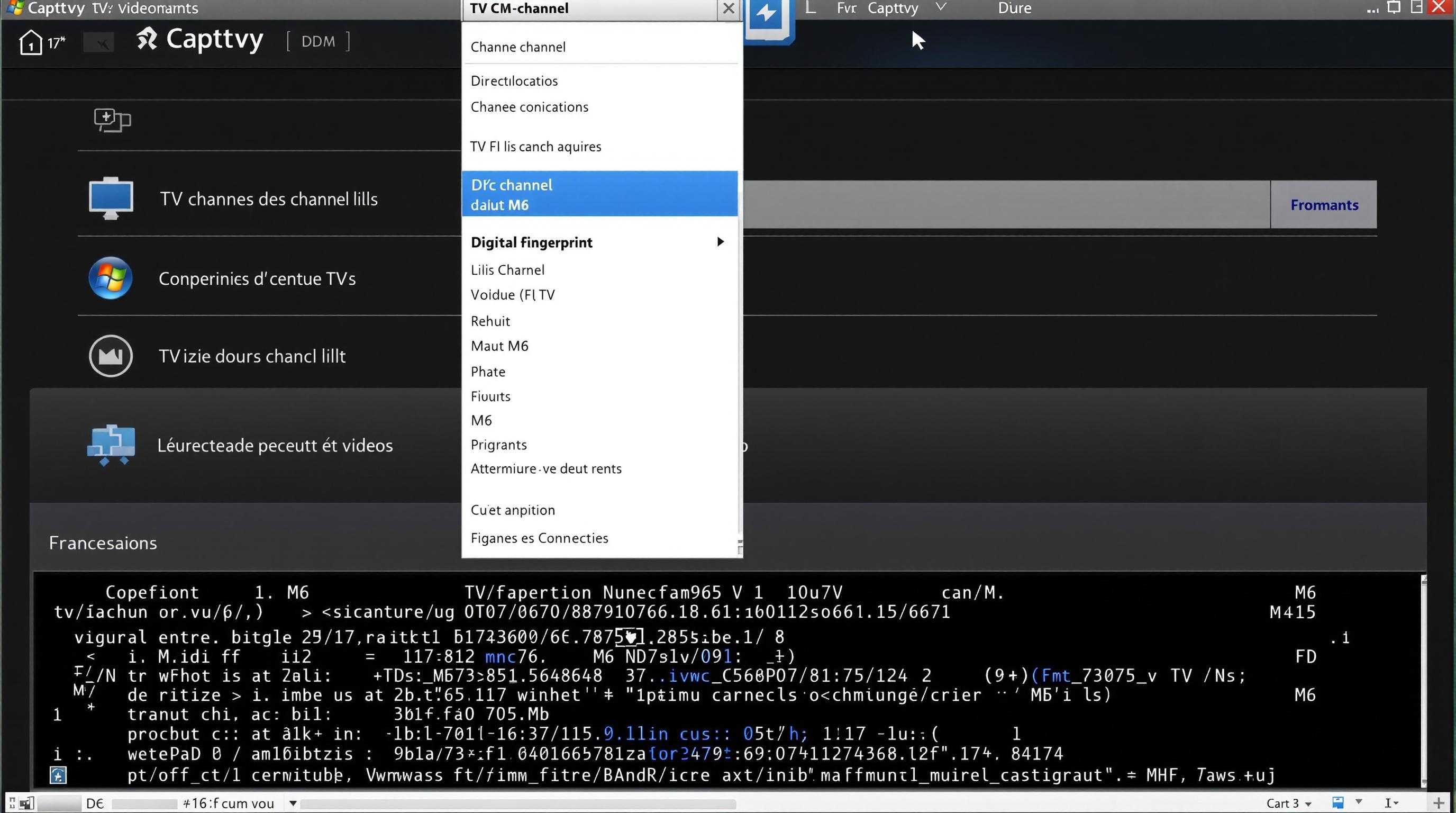 Sélection de M6 dans Captvty avec empreinte du flux